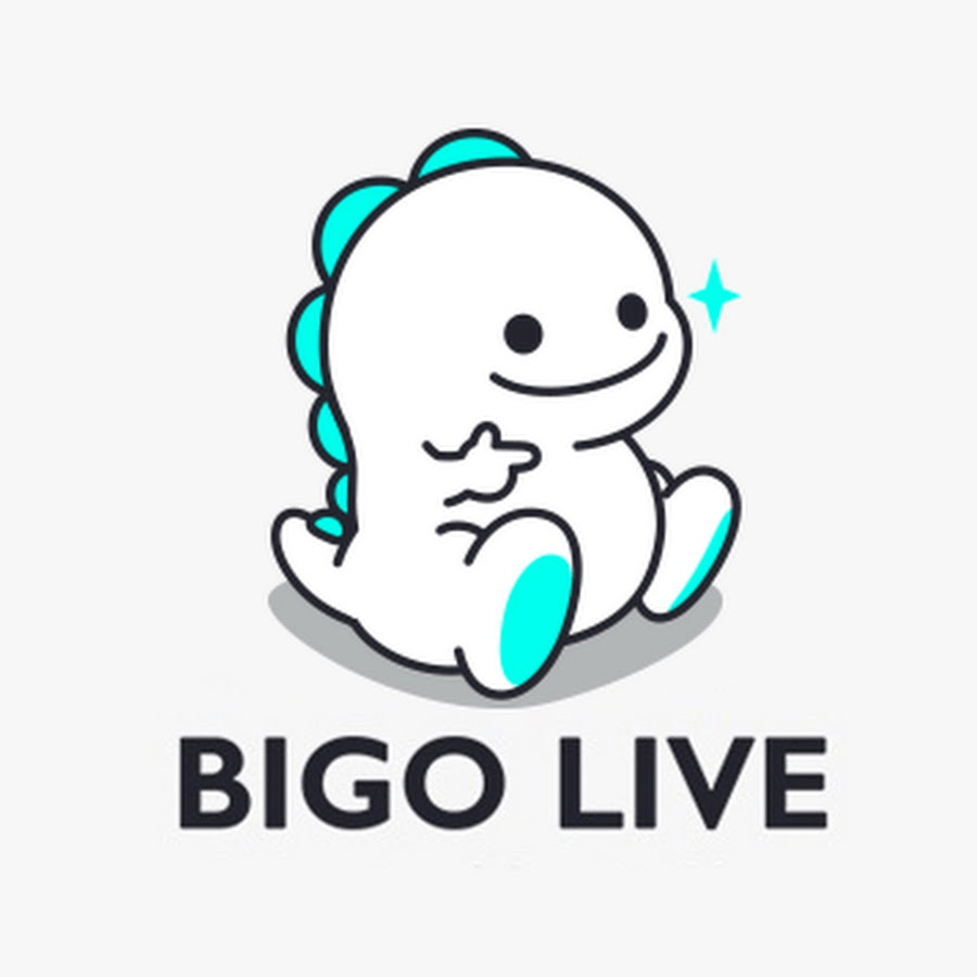 Hướng dẫn kết nối micro thu âm để live stream Bigo