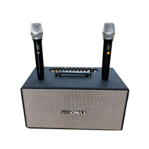 loa karaoke di động nanomax k888