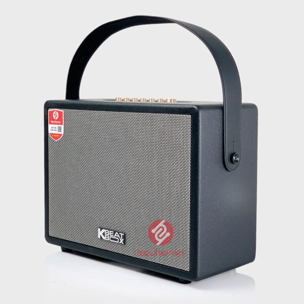 loa-acnos-cs270-mat-phai