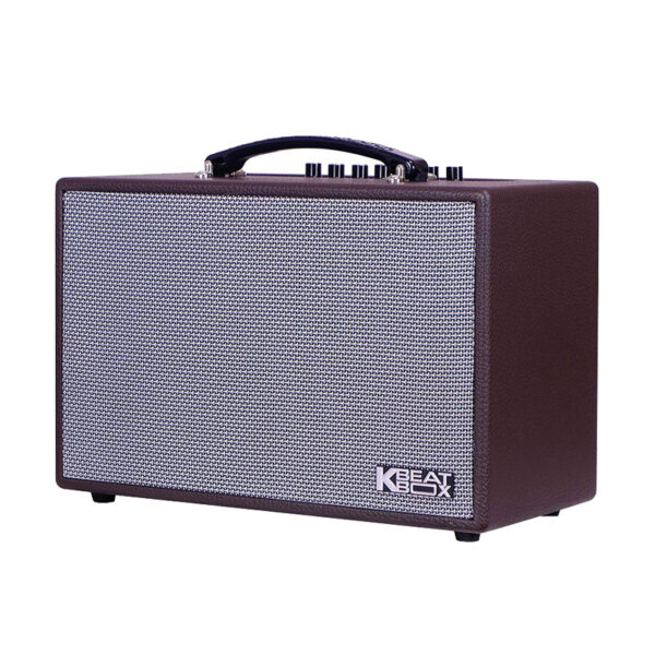 Mặt phải loa karaoke xách tay acnos cs160