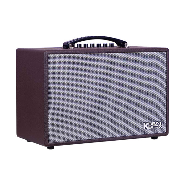 Mặt trái loa karaoke xách tay acnos cs160