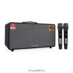 Loa di động Arirang MB2 Pro, 800W, 2 Micro - Hieuhien.vn