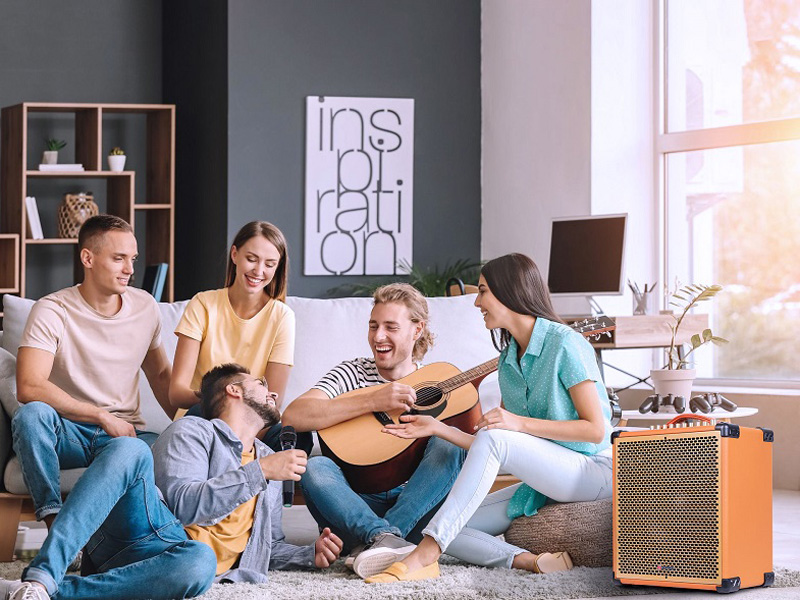 loa sumico msp10 có công suất 100w