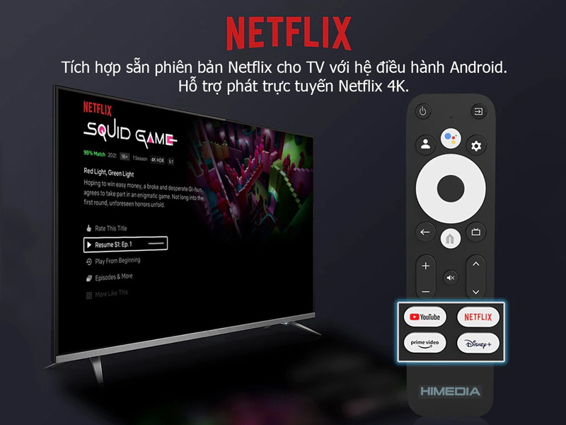 xem netflix bản quyền trên himedia s500 pro
