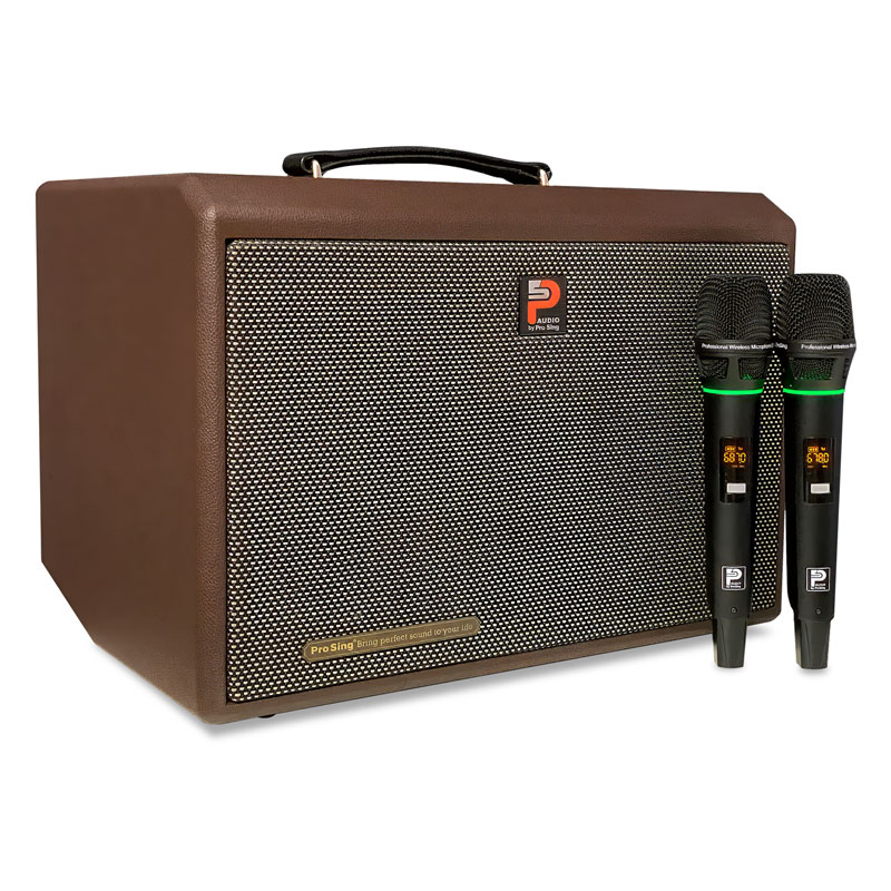 Loa Di Động Prosing DSP-236X | Bass 20 (480W) Kèm 2 Micro